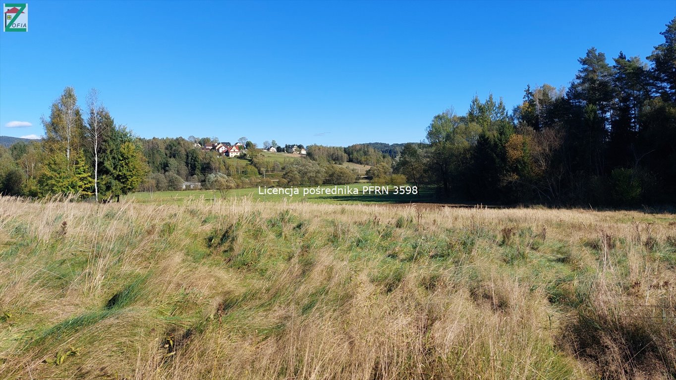 Działka budowlana na sprzedaż JORDANÓW  800m2 Foto 5