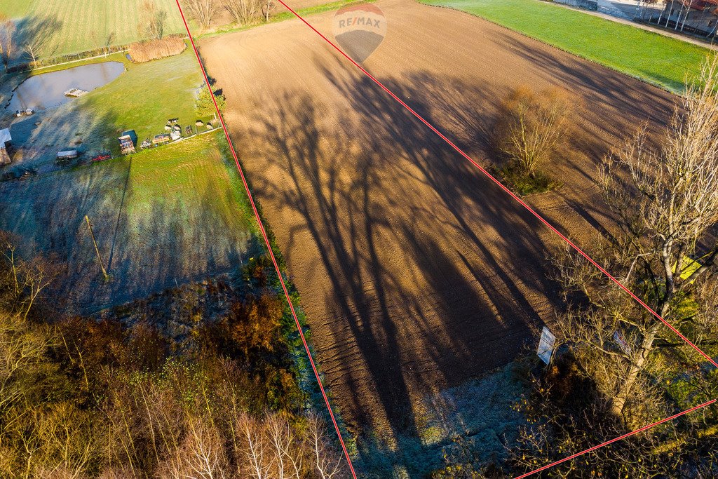 Działka komercyjna na sprzedaż Krzywaczka  8 200m2 Foto 11