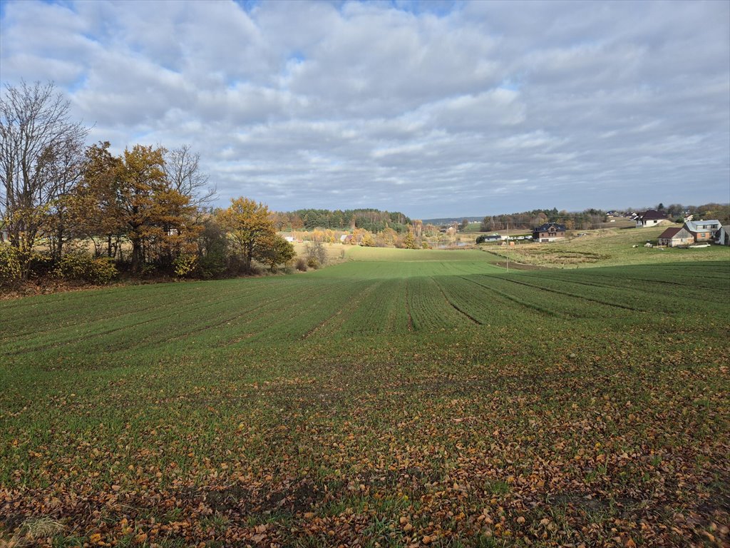 Działka budowlana na sprzedaż Barłomino  10 400m2 Foto 1