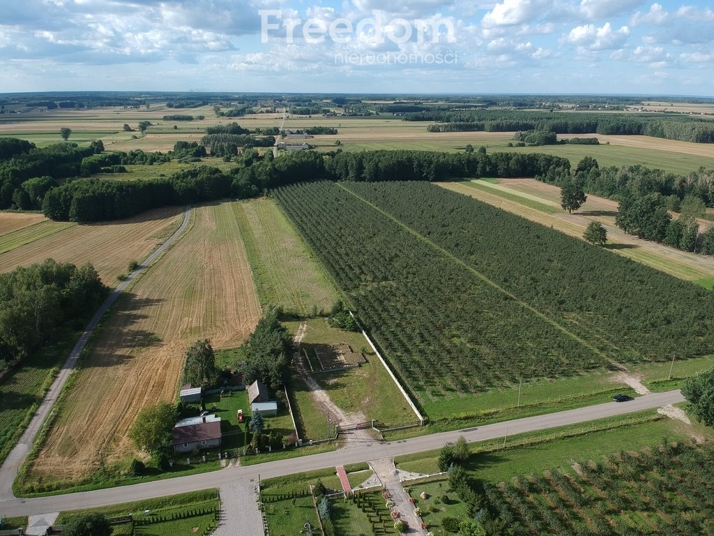 Działka inna na sprzedaż Filipinów  3 000m2 Foto 9