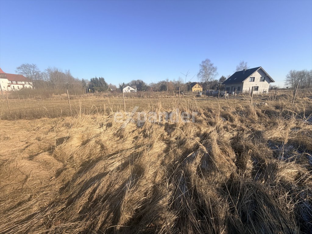 Działka 1310 m² pod zabudowę jednorodzinną, las, media Miłogostowice  1 310m2 Foto 1
