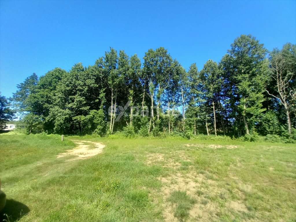 Działka budowlana na sprzedaż Likiec  13 400m2 Foto 1