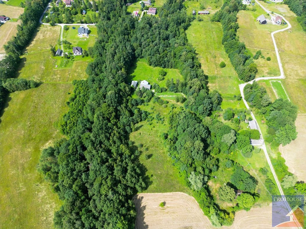 Działka 20 300 m² z lasem i dostępem do drogi - polecam Lipowe  20 300m2 Foto 1