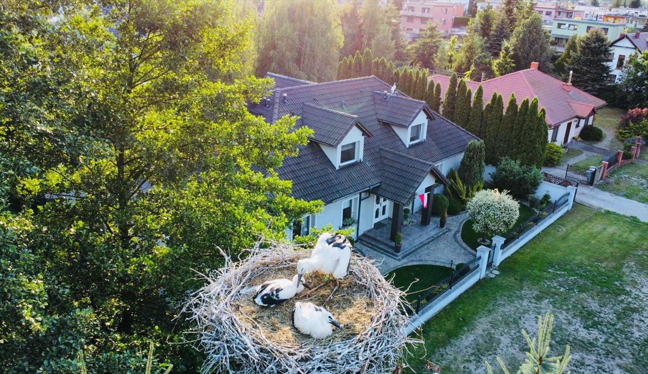 Wolnostojący dom 229 m2 z garażem, tarasem i wysokim standardem Rydzyna  229m2 Foto 1