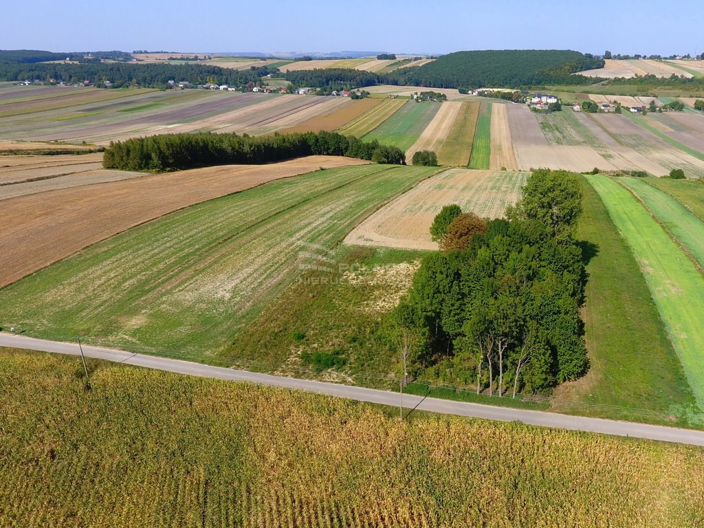 Działka rolna na sprzedaż Racławice  11 100m2 Foto 11