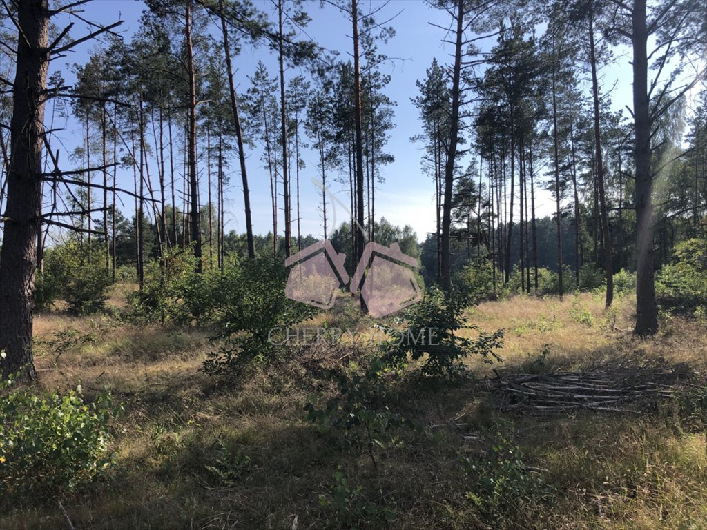 Działka rekreacyjna na sprzedaż Wygoda  3 412m2 Foto 6