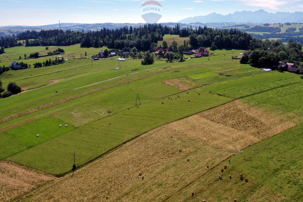 Działka budowlana na sprzedaż Maruszyna  9 650m2 Foto 6