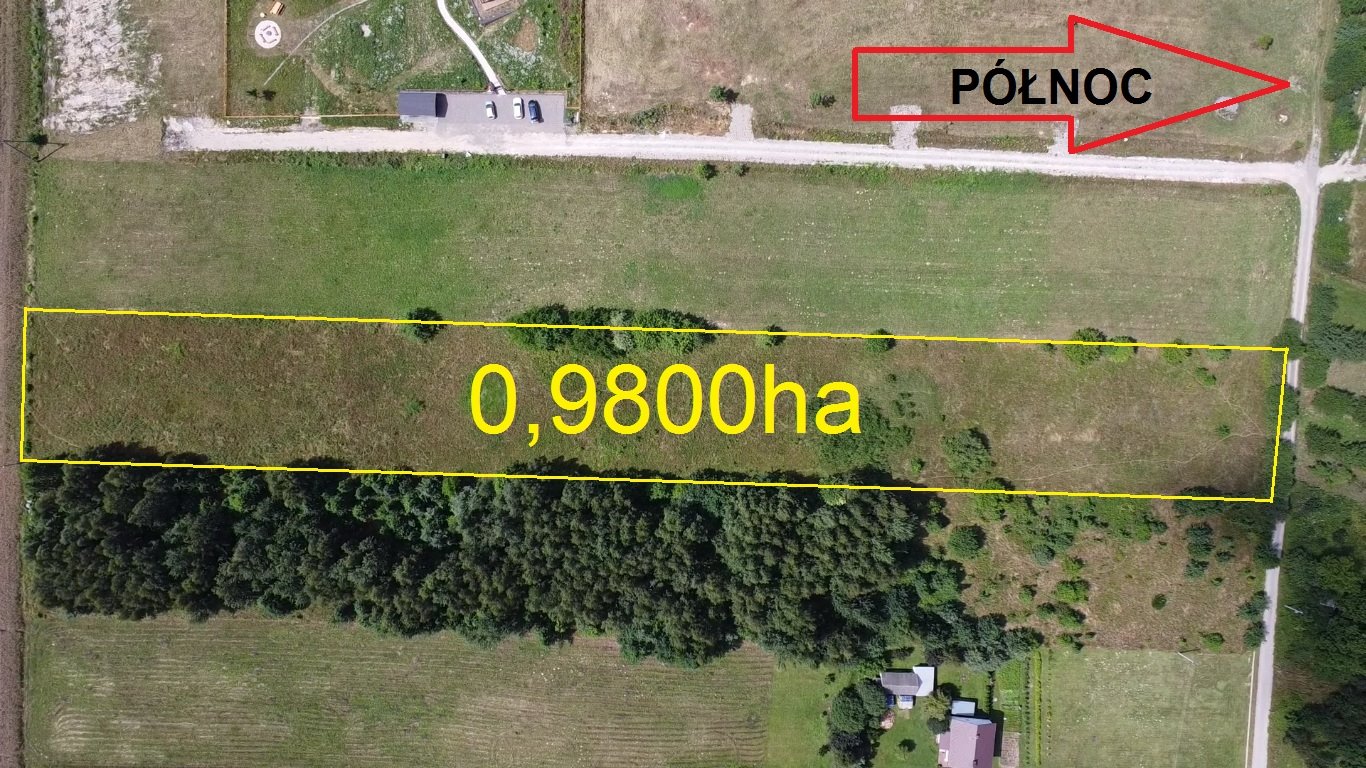 Działka budowlana na sprzedaż Orzechówka  9 800m2 Foto 2