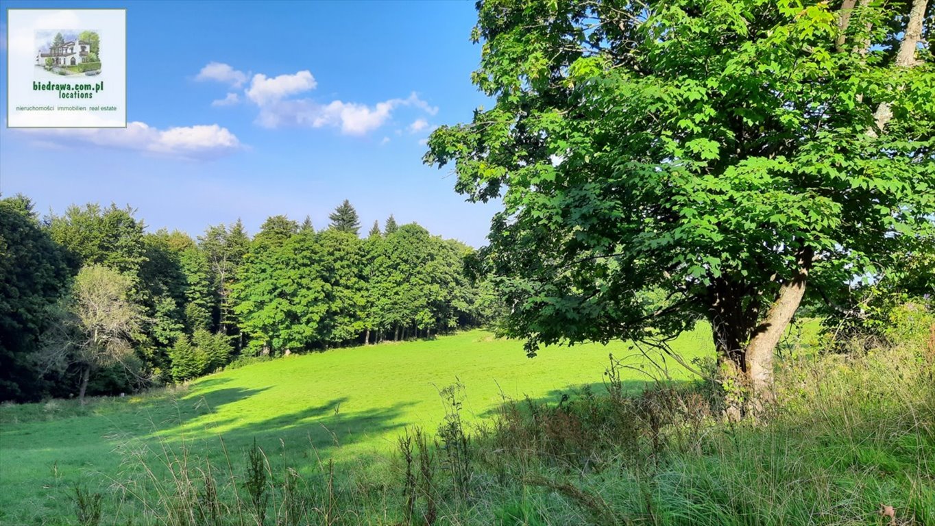 Zapraszam do zakupu działki 6422 m² w Zieleniec, blisko wyciągów Duszniki-Zdrój, Zieleniec, Zieleniec  6 422m2 Foto 1