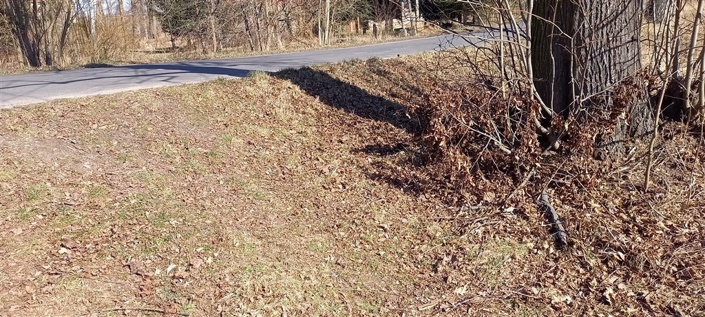 Działka inna na sprzedaż Bolków  3 900m2 Foto 14