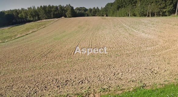 Działka budowlana na sprzedaż Gogołowa  850m2 Foto 1