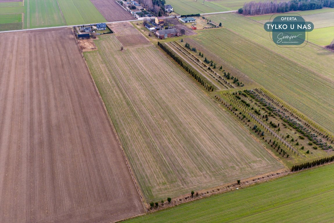 Działka budowlana na sprzedaż Paprotnia  1 000m2 Foto 10