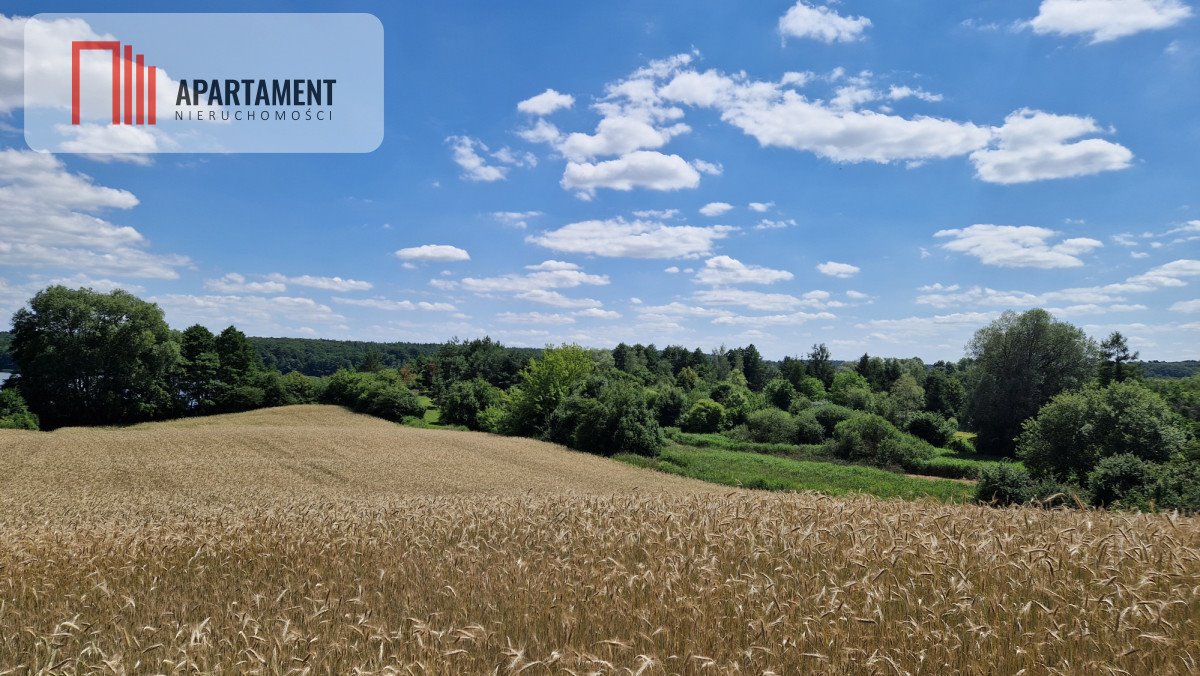 Działka gospodarstwo rolne na sprzedaż Chomiąża Księża  11 822m2 Foto 3