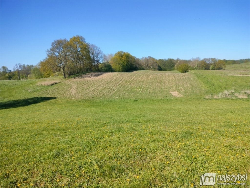 Dom na sprzedaż Ińsko, obrzeża  220m2 Foto 21