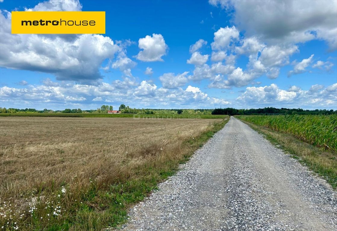 Działka inna na sprzedaż Powązki  37 400m2 Foto 1