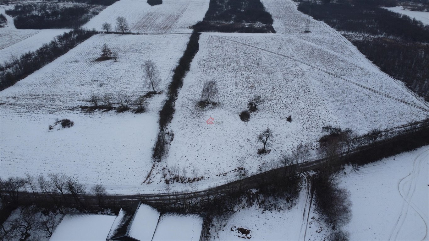 Działka budowlana na sprzedaż Lisów, Leśna  5 336m2 Foto 2