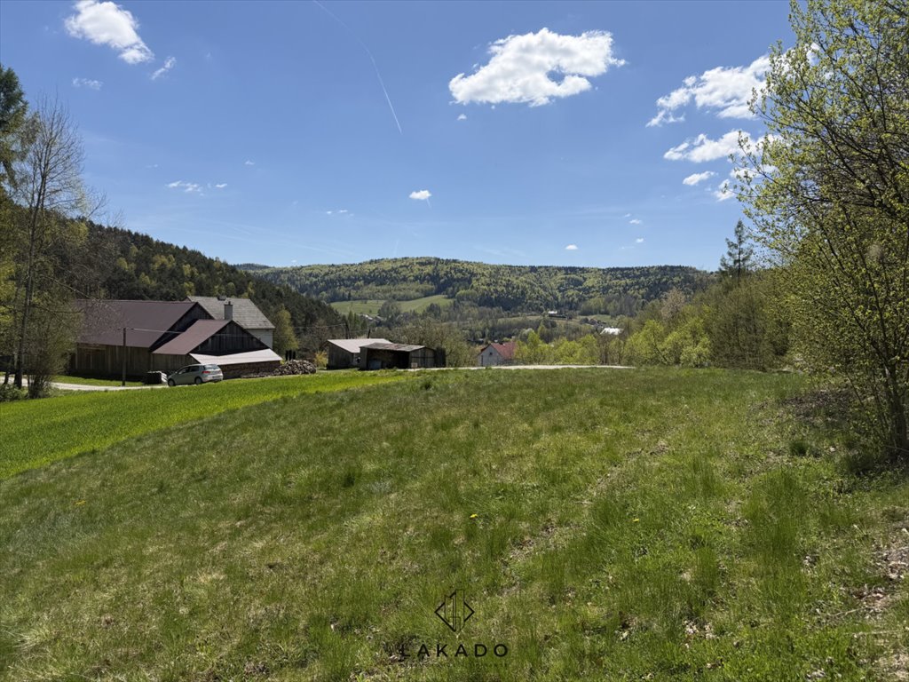 Działka 23 arów z lasem i podziałem na strefy Bartkowa-Posadowa  2 300m2 Foto 1