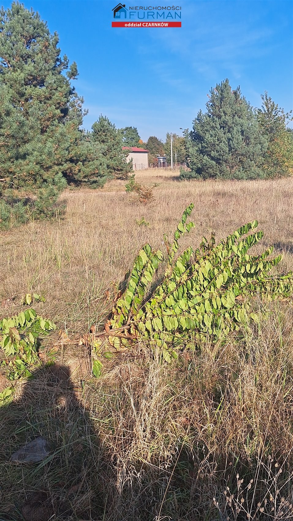 Działka budowlana na sprzedaż Wieleń  2 650m2 Foto 7