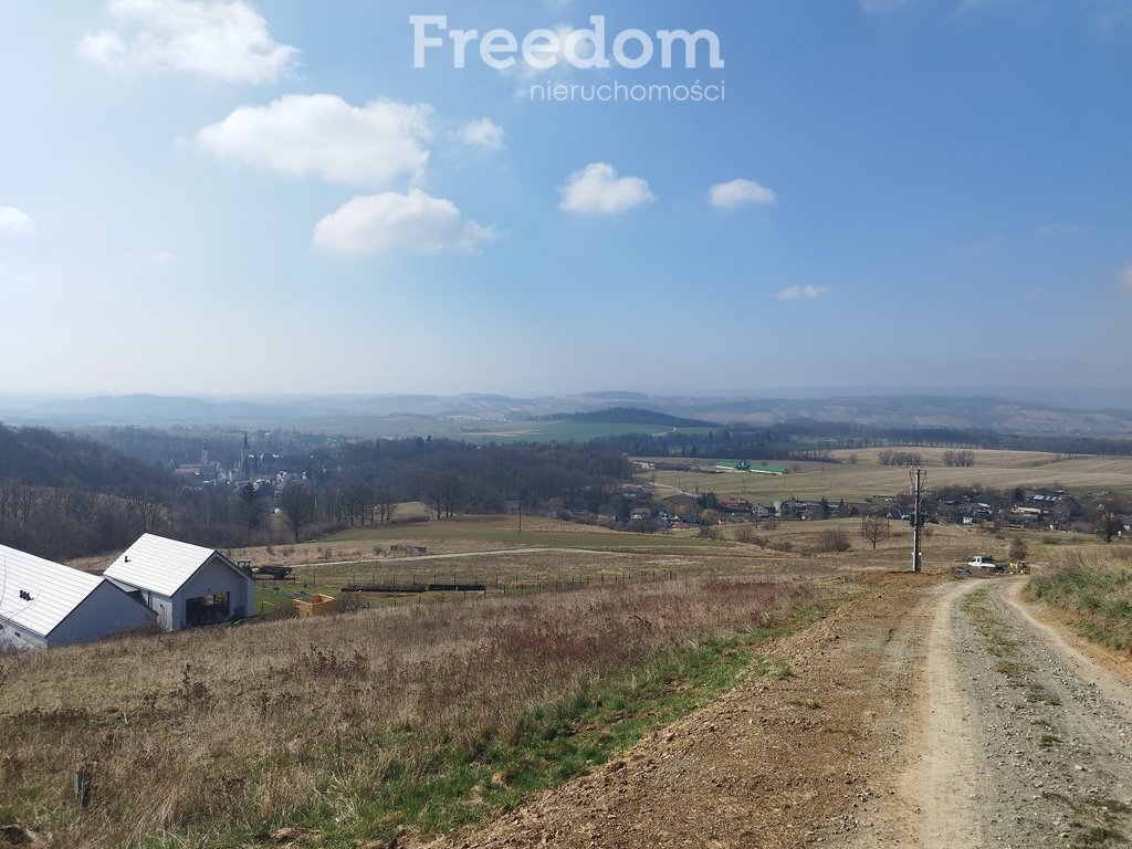 Działka budowlana na sprzedaż Nowa Ruda  4 359m2 Foto 1