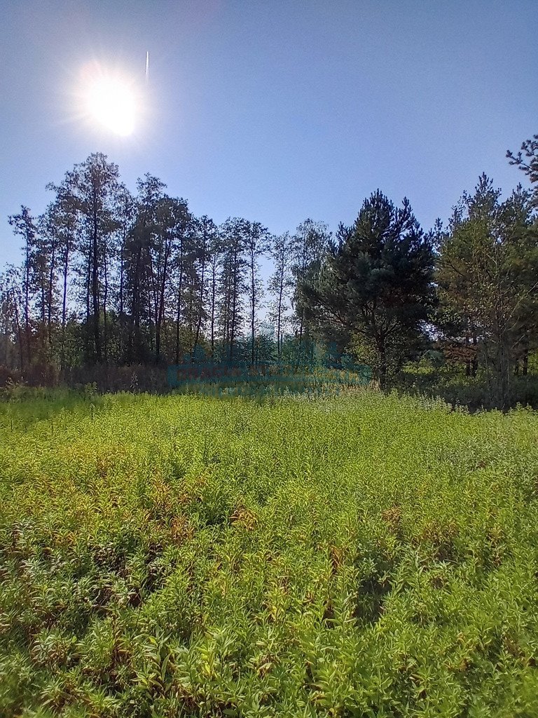 Działka budowlana na sprzedaż Izabelin-Dziekanówek  1 200m2 Foto 8