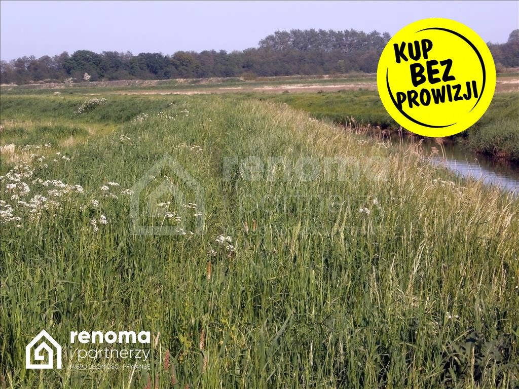 Do sprzedania działka 3 070 m² w Jamnie z pięknymi widokami Koszalin  3 070m2 Foto 1