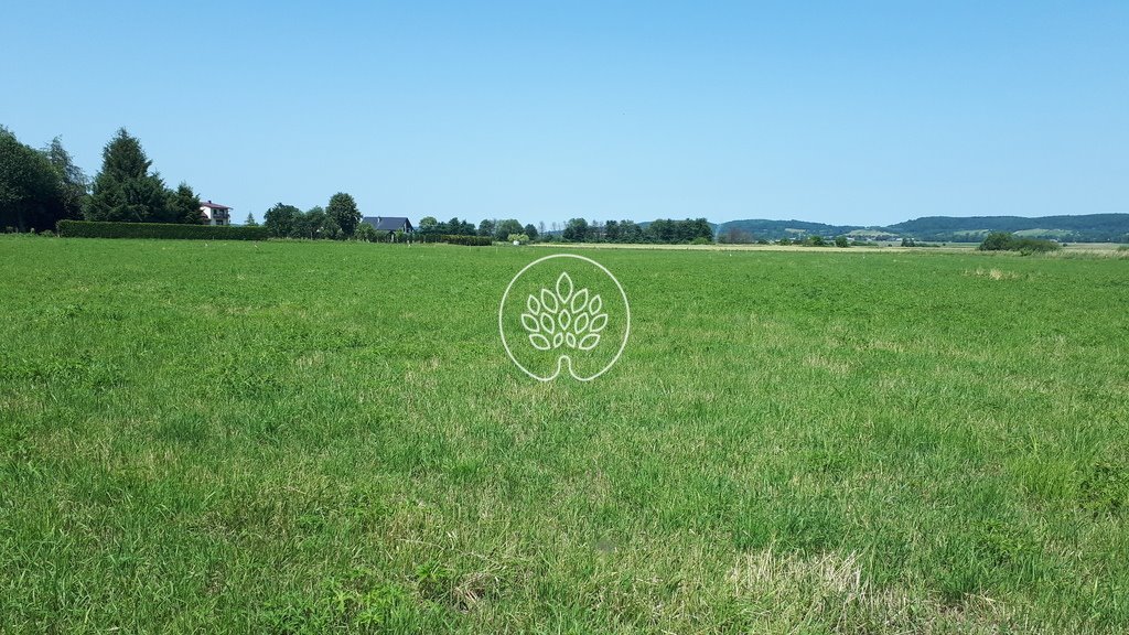 Atrakcyjne działki budowlane w Zarszynie – 23 500 m2 Zarszyn  23 500m2 Foto 1