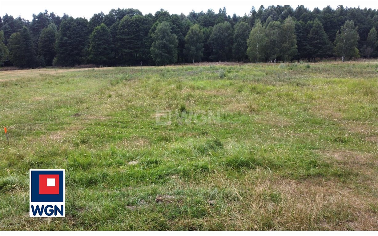 Działka budowlana na sprzedaż Kłobuck, Niwa-Skrzeszów, Klonowa  3 800m2 Foto 5