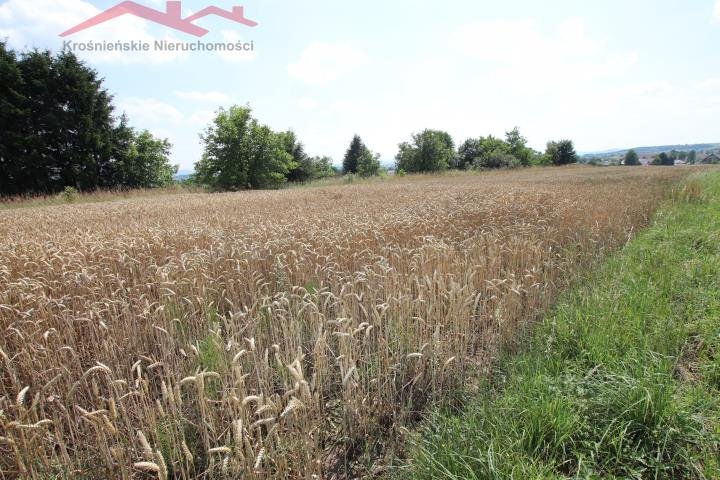 Działka budowlana na sprzedaż Łężany  3 930m2 Foto 3