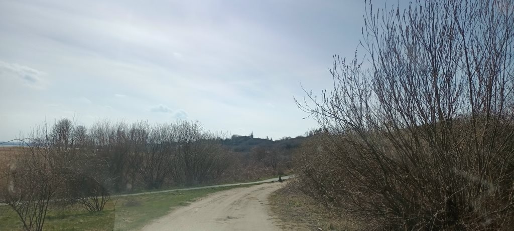 Działka rolna na sprzedaż Swarzewo  2 996m2 Foto 4