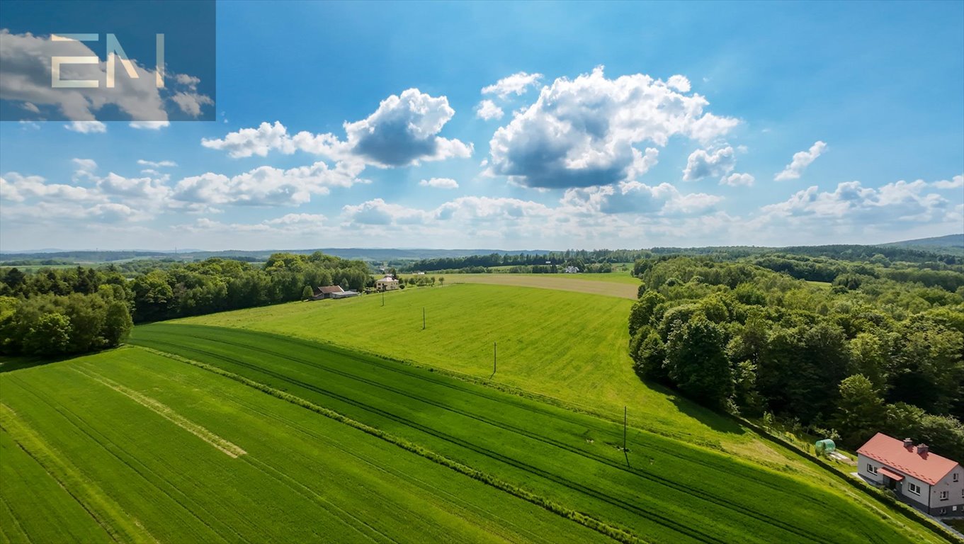 Działka rolna 2,41 ha w Gliniku Dolnym - zapraszam Glinik Dolny  24 100m2 Foto 1