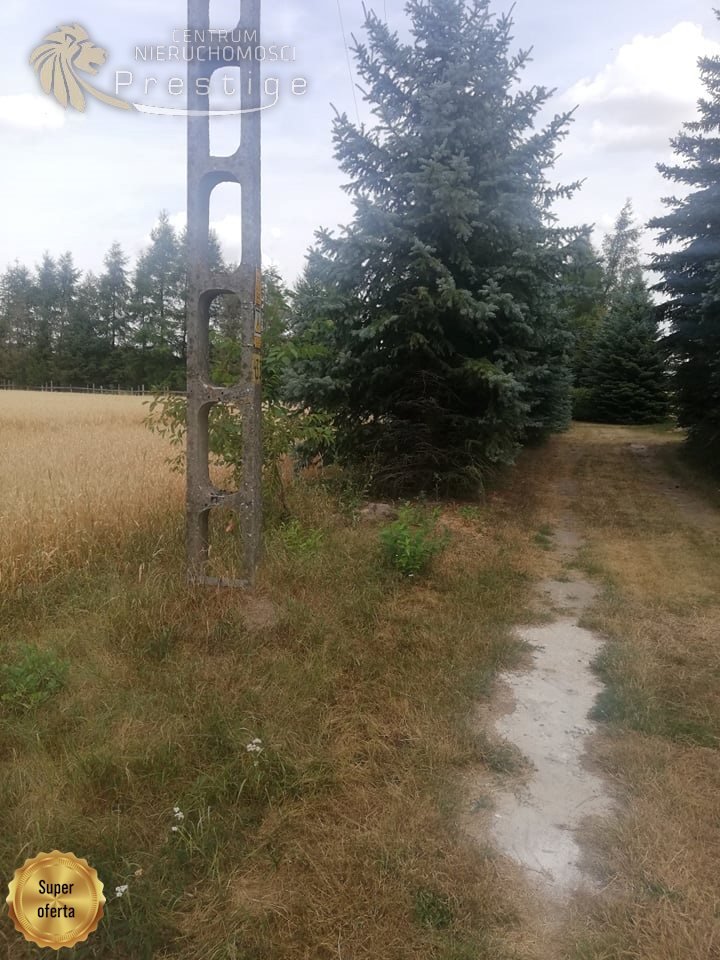 Działka budowlana na sprzedaż Biskupice, Biskupskie Drogi  1 353m2 Foto 12