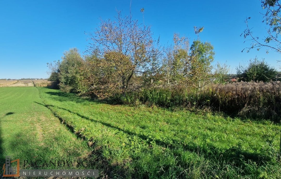 Działka budowlana na sprzedaż Kraków, Prądnik Biały, Witkowice  1 637m2 Foto 2