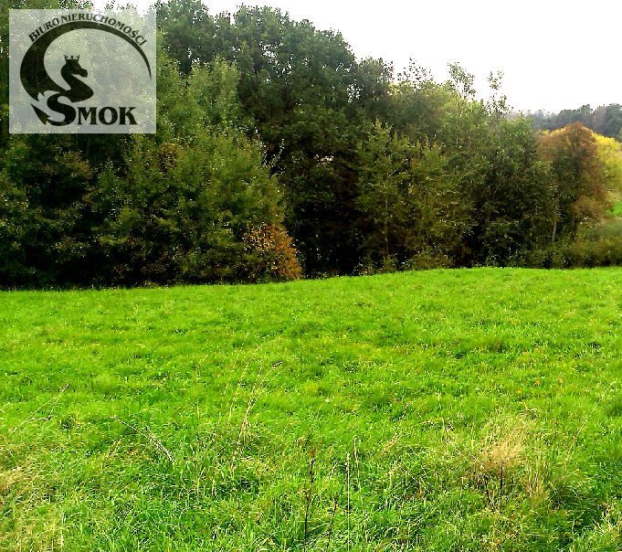 Działka budowlana na sprzedaż Gaj 1 000m2 Foto 1 Działka budowlana na sprzedaż Gaj 1 000m2 Foto 1