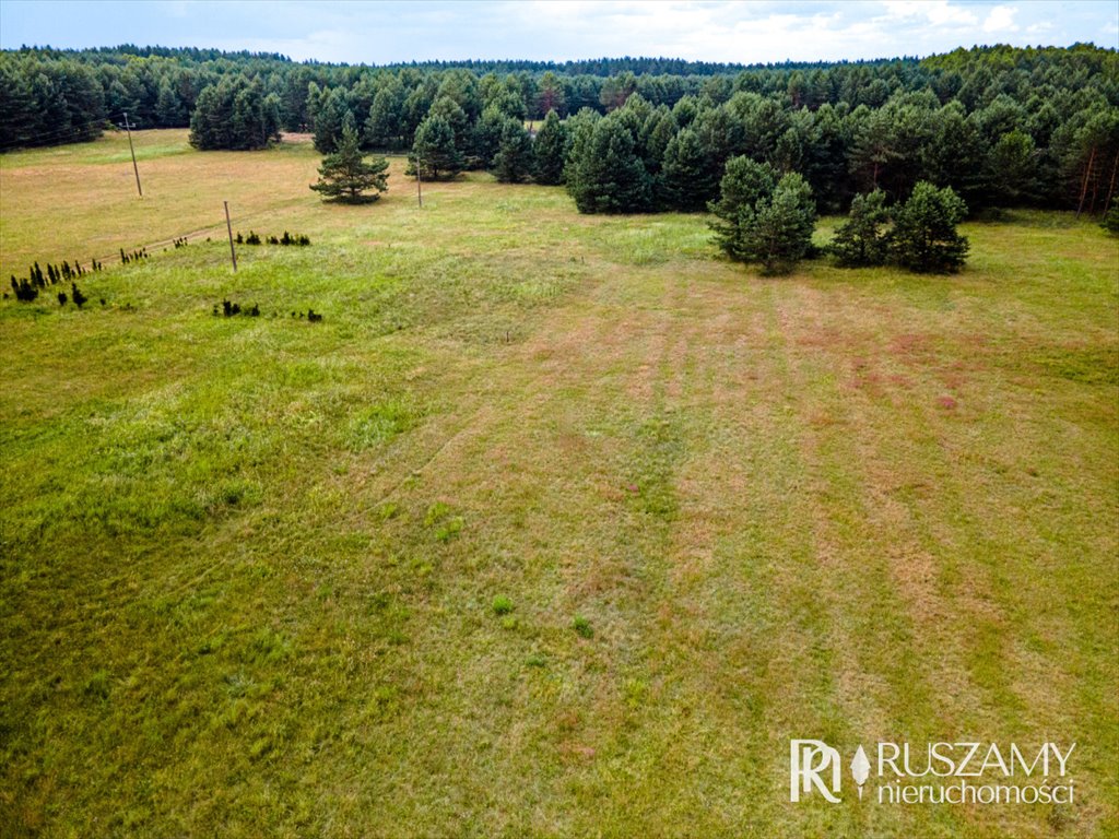 Działka budowlana na sprzedaż Wojtal  3 130m2 Foto 9