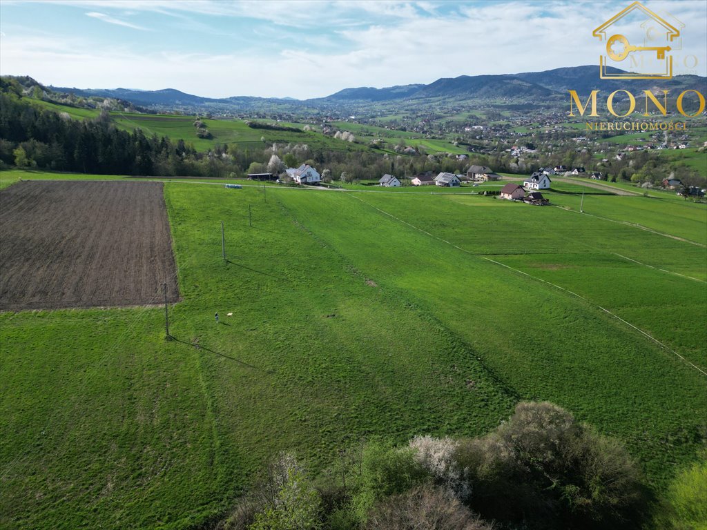 Działka rolna na sprzedaż Krasne Potockie  8 200m2 Foto 8