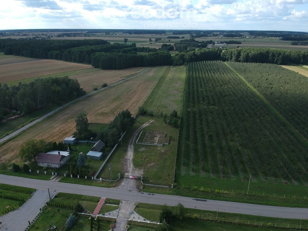 Działka inna na sprzedaż Filipinów  3 000m2 Foto 2