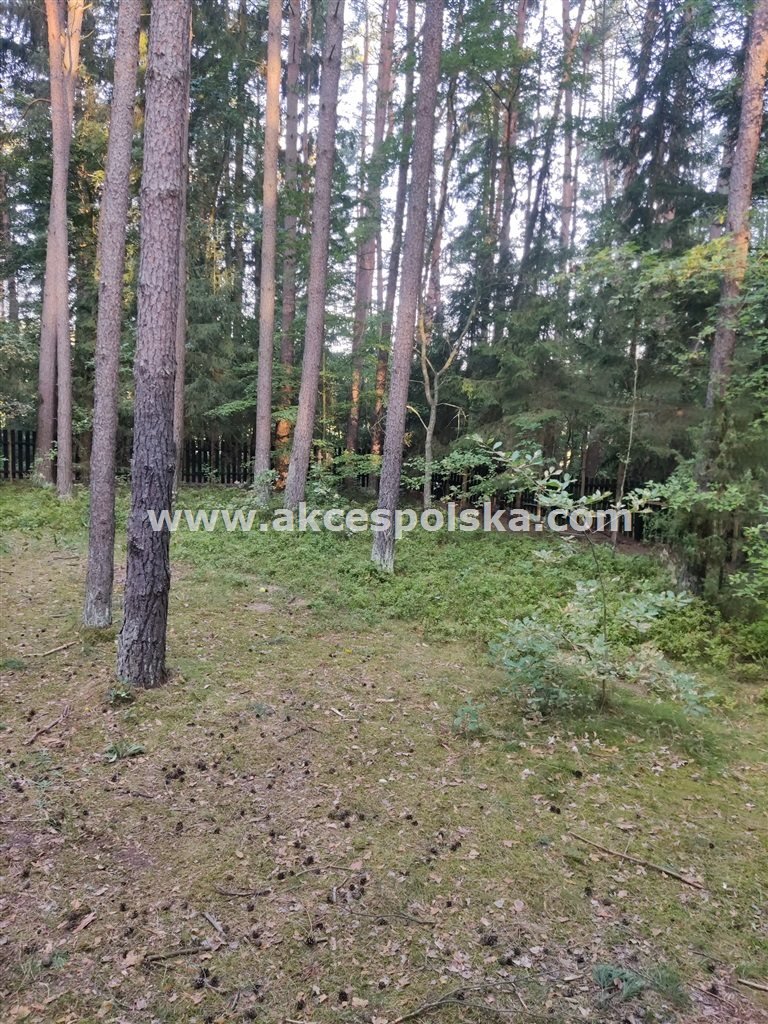 Dom na sprzedaż Szczytno, Nowowarszawska  300m2 Foto 3