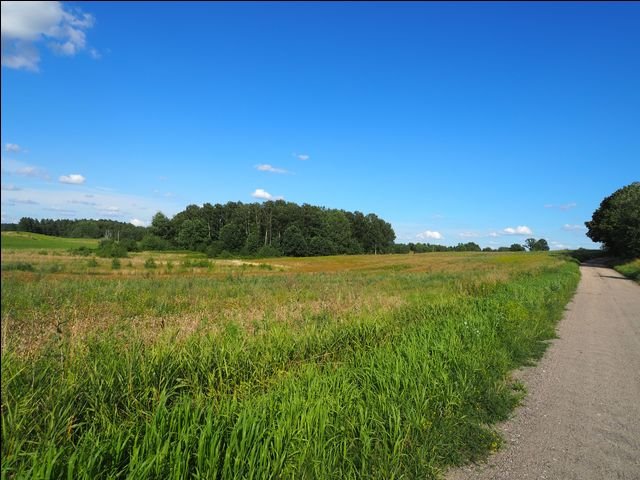 Działka leśna na sprzedaż Wołowno  19 700m2 Foto 9