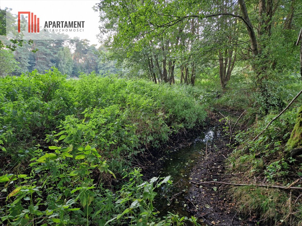 Działka gospodarstwo rolne na sprzedaż Gościeszyn  18 300m2 Foto 11