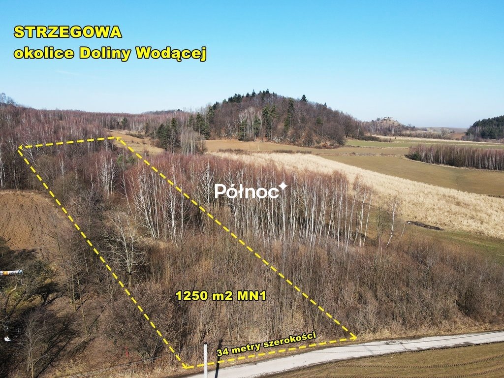 Działka 9400 m2 z widokiem i uzbrojeniem w Jurajskim Parku Strzegowa  9 400m2 Foto 1