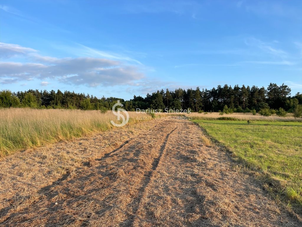 Działka inna na sprzedaż Czepino  1 137m2 Foto 6