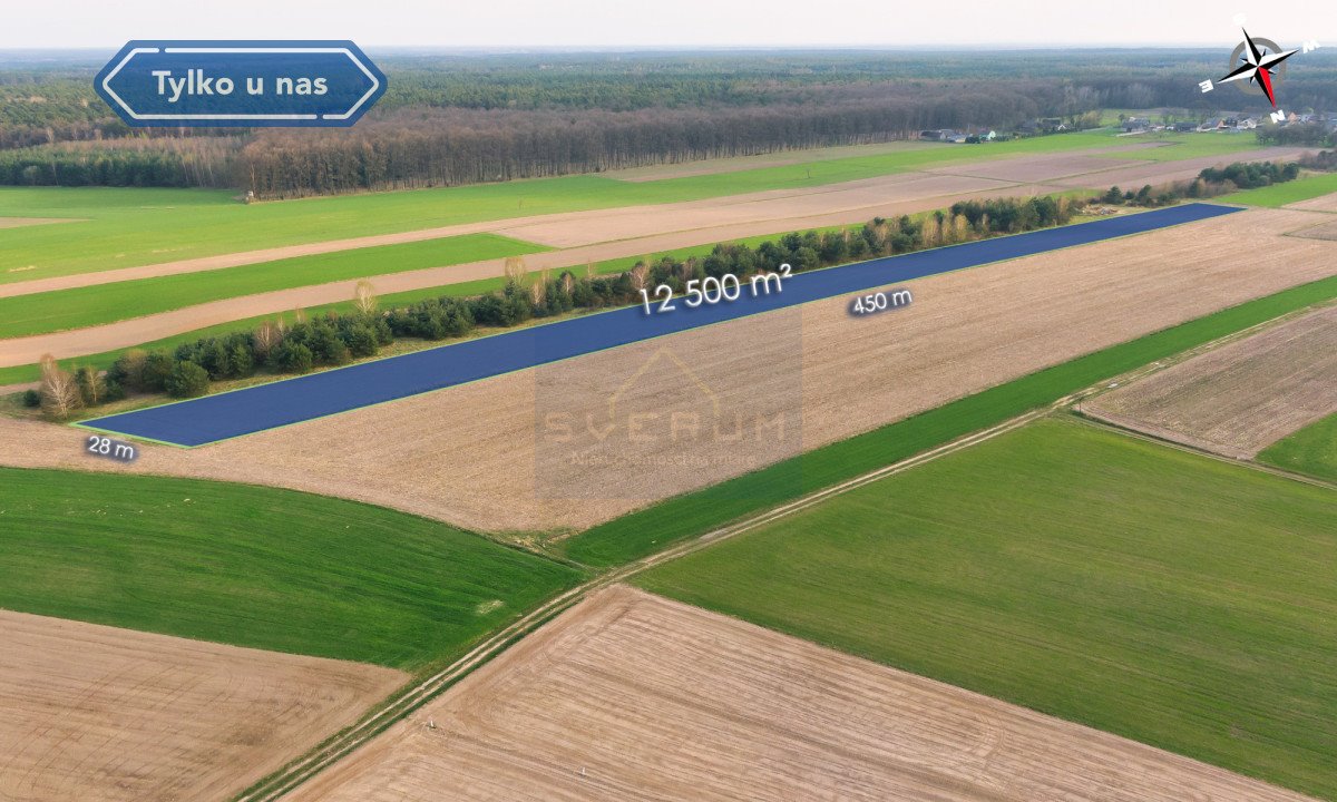 Duża działka 12 500 m² w Rogach – idealna pod inwestycję Rogi  12 500m2 Foto 1