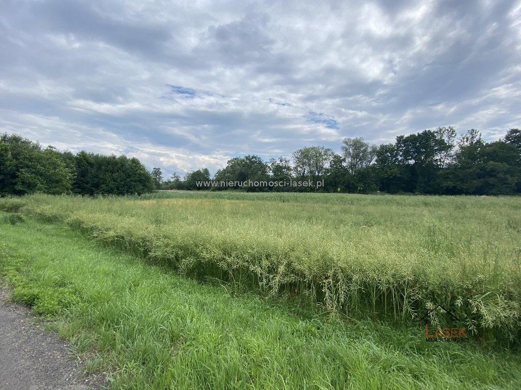 Działka 2000 m² z mediami, pod zabudowę - polecam Tomice  2 000m2 Foto 1