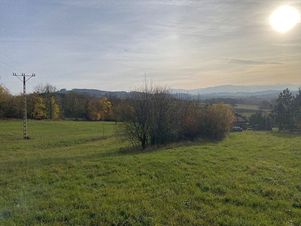 Działka budowlana na sprzedaż Goleszów, Goleszów, Pilotów  1 593m2 Foto 7