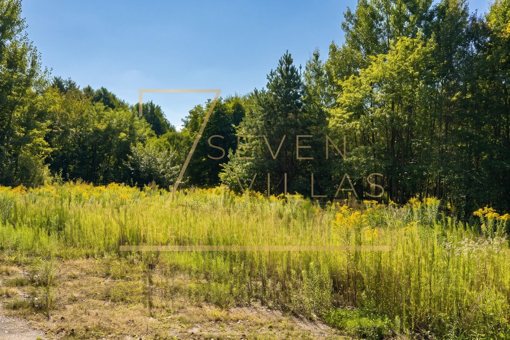 Zdjęcie 3