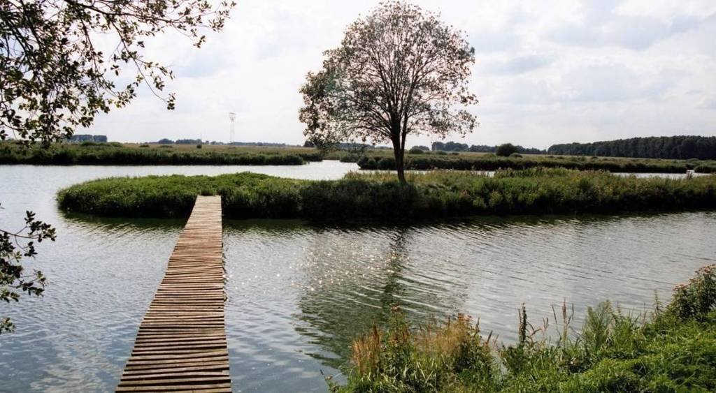 Działka 13,5 ha z wodą, potencjałem i możliwością zabudowy Dziedzice  134 728m2 Foto 1