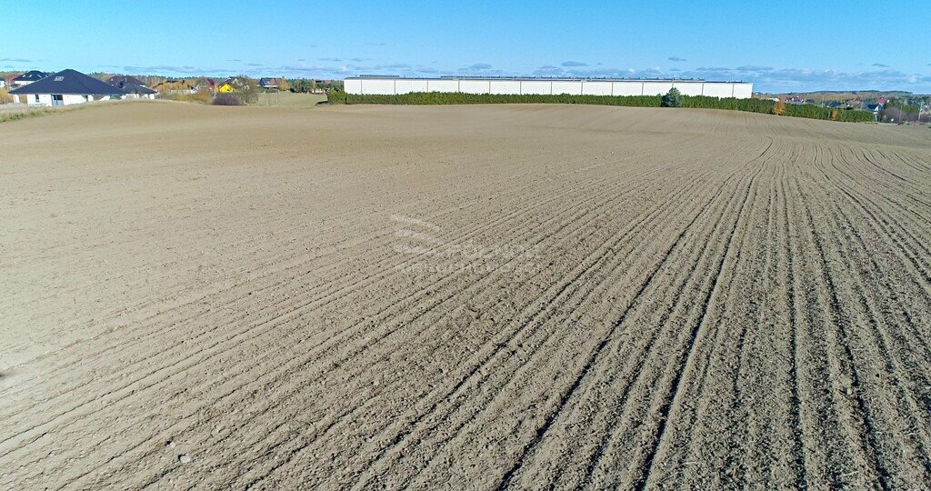 Działka inwestycyjna na sprzedaż Trąbki Małe  43 450m2 Foto 8