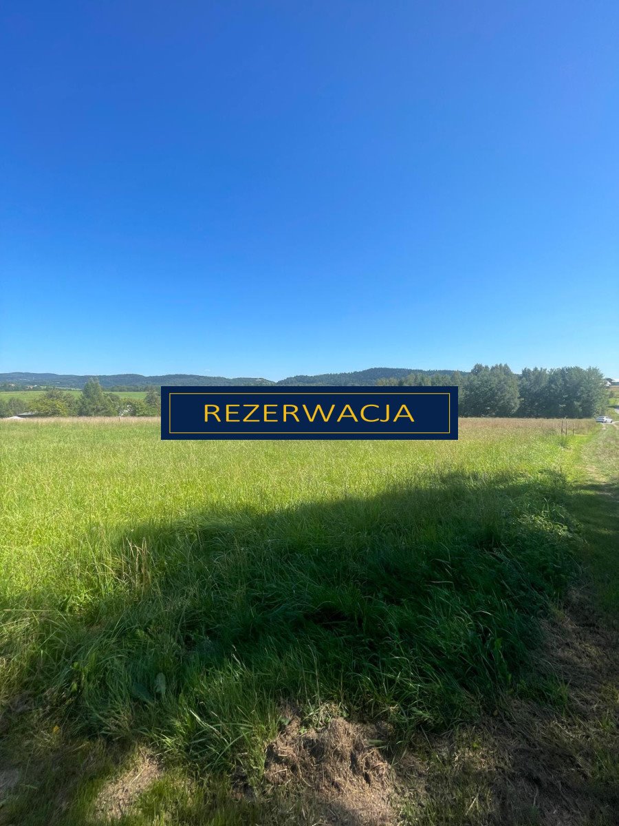 Działka budowlana na sprzedaż Rychwałd, Holnówka  1 064m2 Foto 11