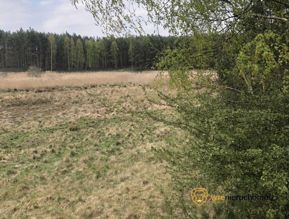 Działka inwestycyjna na sprzedaż Rakowo  16 600m2 Foto 6