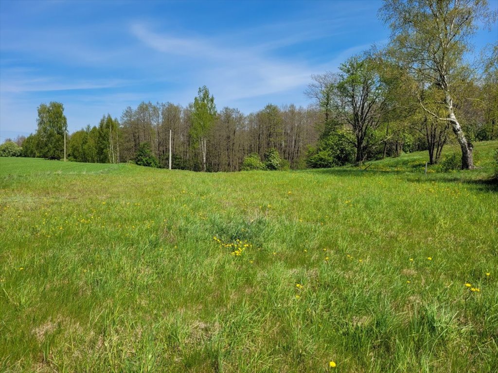 Działka budowlana na sprzedaż Osowa  18 700m2 Foto 2